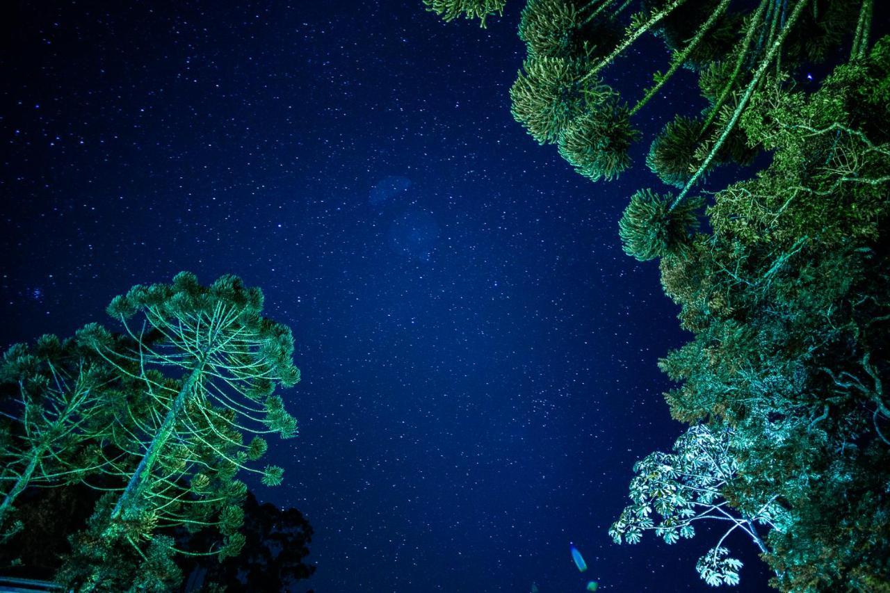 Sitio Das Hortensias Chales Conceição da Ibitipoca Εξωτερικό φωτογραφία